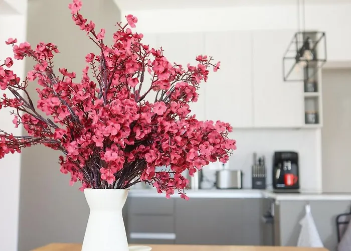 Dream Tribunj * Tribalj